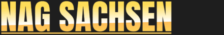 Mein Sachsen Logo