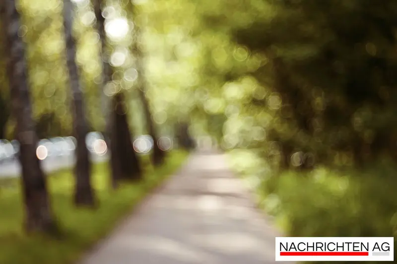 Verwaltungsgemeinschaft Wörth a.d.Donau sucht Bautechniker – Jetzt bewerben!