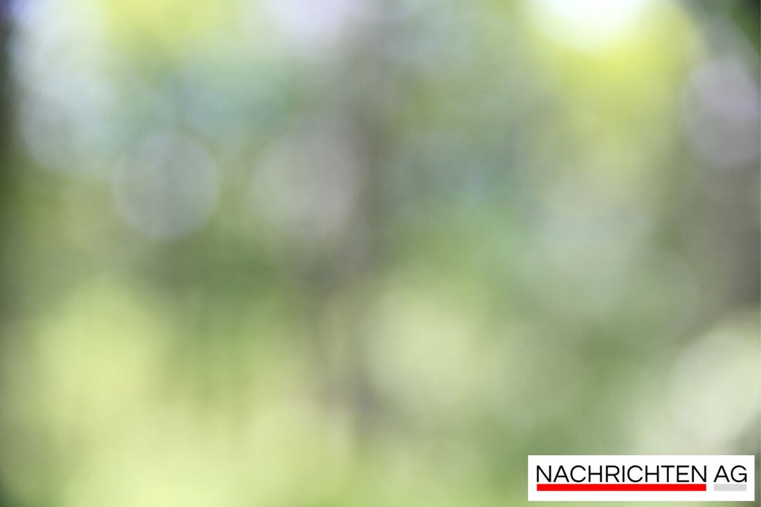 Exkursion am 24. Juni in Chemnitz: Erleben Sie die Landschaftspflege durch Schafbeweidung. Kostenlos, mit Expertenwissen und Tipps.