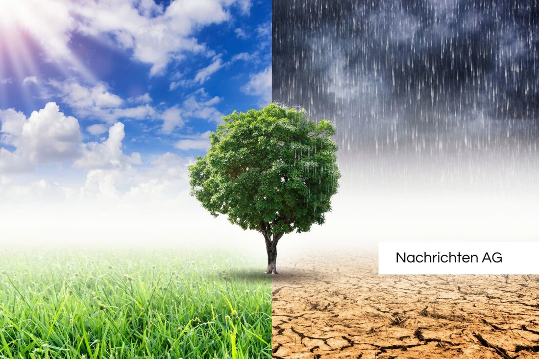 Erfahren Sie alles zur Solar-Party in Radibor: Infos zu Veranstaltern, Themenschwerpunkten und Anmeldung für nachhaltige Energie.